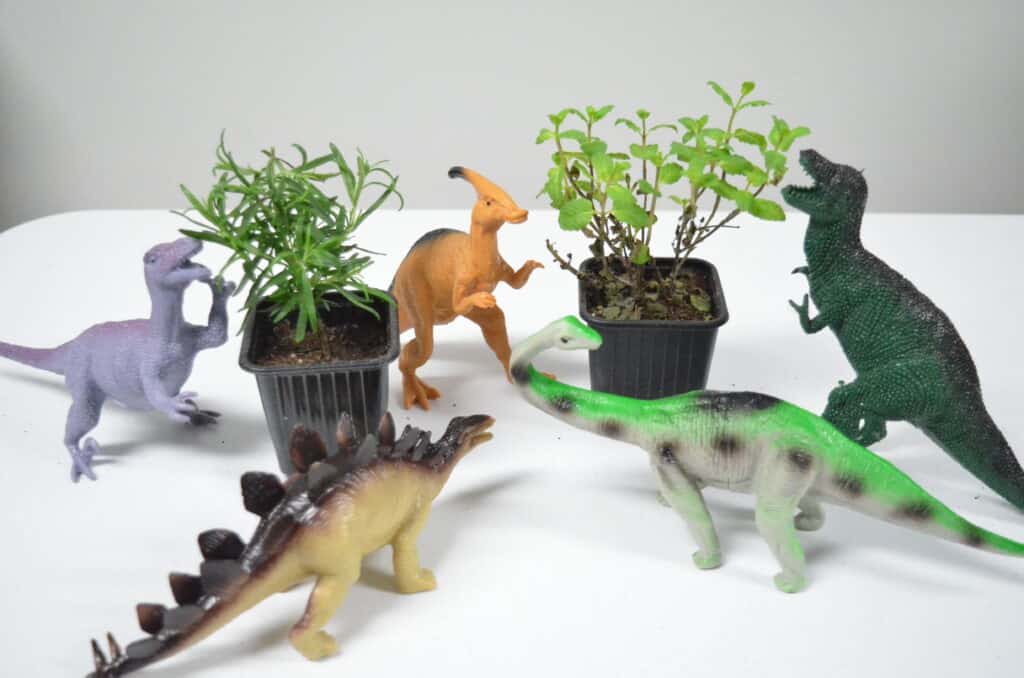 Dinosaur Sensory Garden - Olfactory & Taste Senses