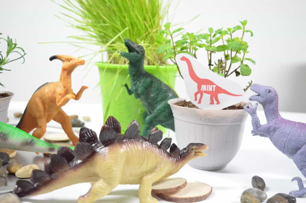 Dinosaur Sensory Garden - Olfactory & Taste Senses