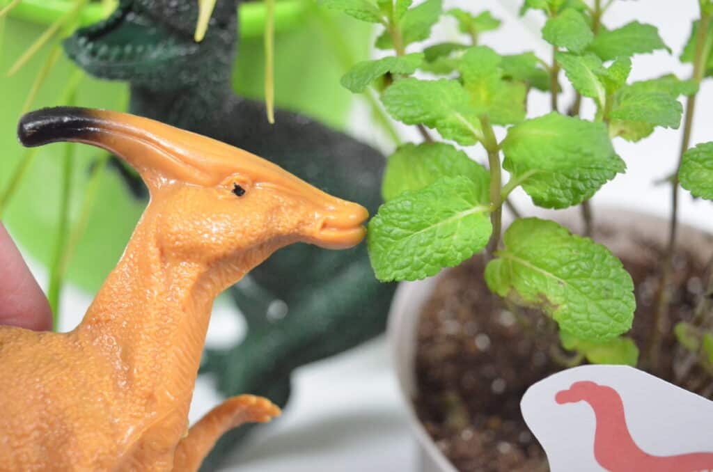 Dinosaur Sensory Garden - Olfactory & Taste Senses