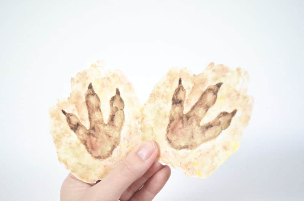 Dinosaur Sensory Bin Textured Dig This! Activity with Printables
