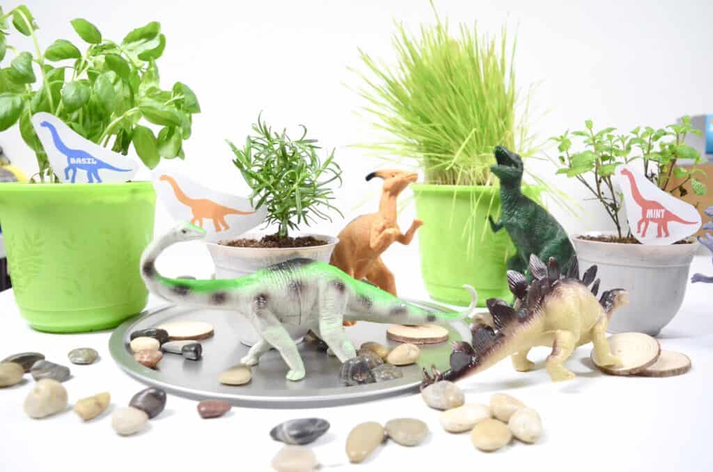 Dinosaur Sensory Garden - Olfactory & Taste Senses