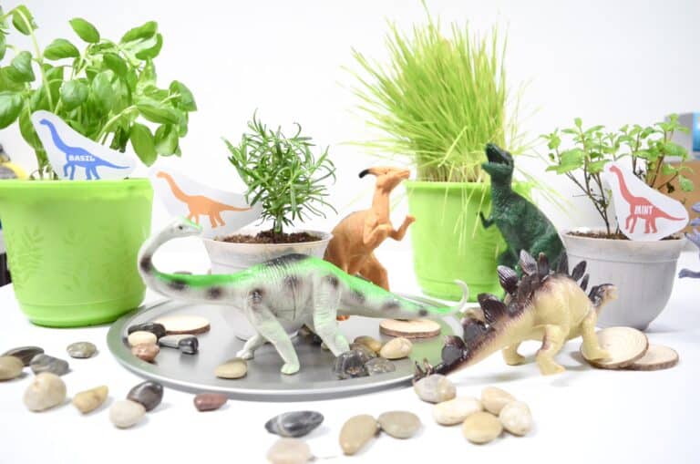 Dinosaur Sensory Herb Garden for Kids – Olfactory & Taste Senses