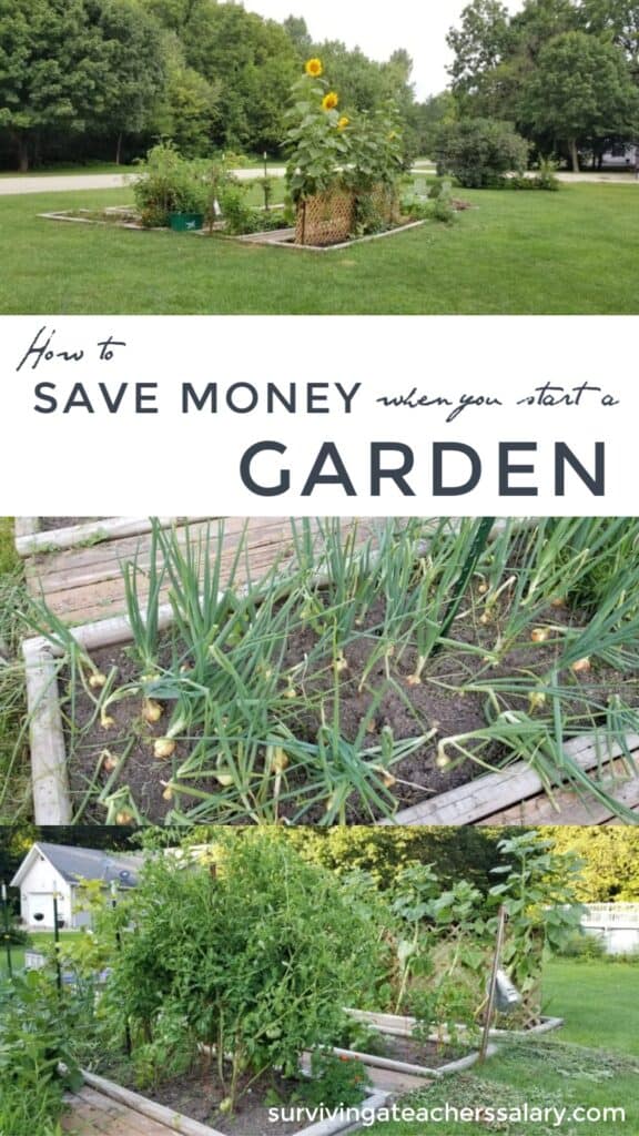 Save Money when you start a garden