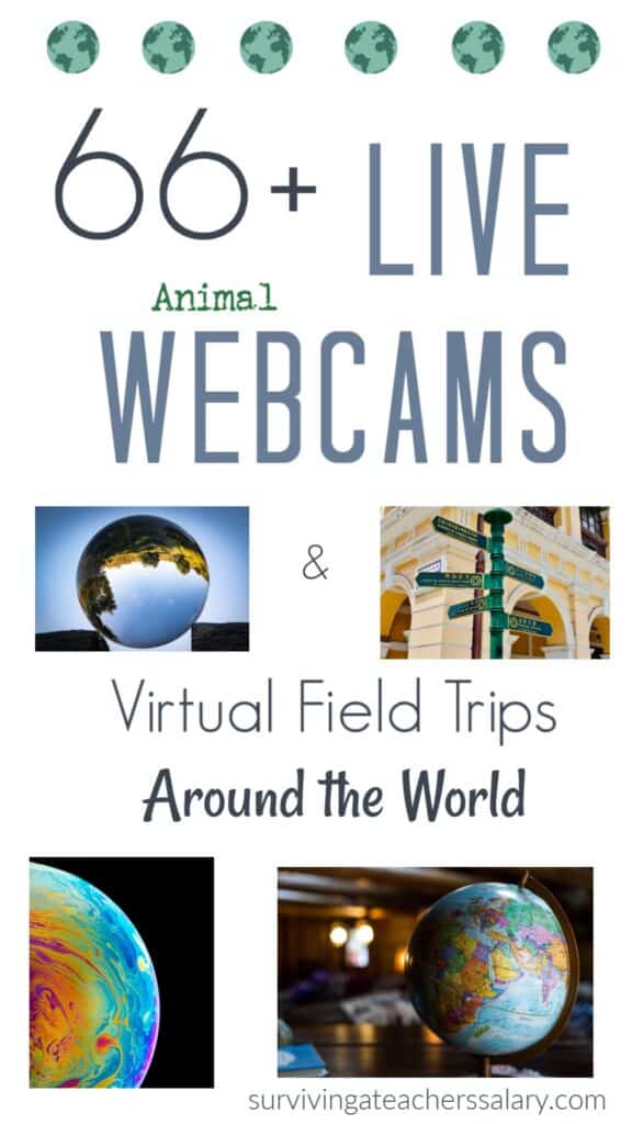 live animal web cams virtual field trips