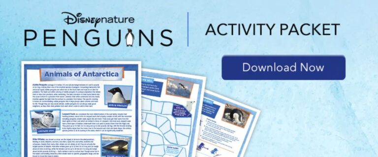 Disney Nature Videos + Teacher Guides – FREE Learning Resources