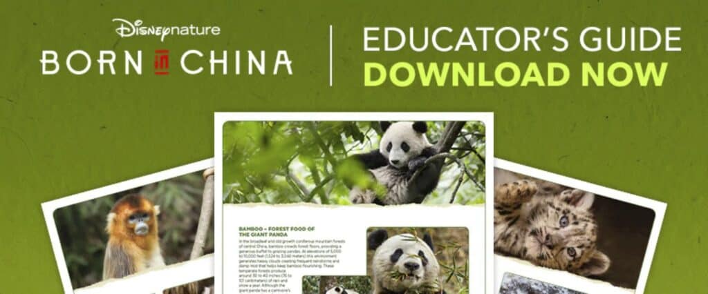 Disney Nature Born in China Educator's Guide