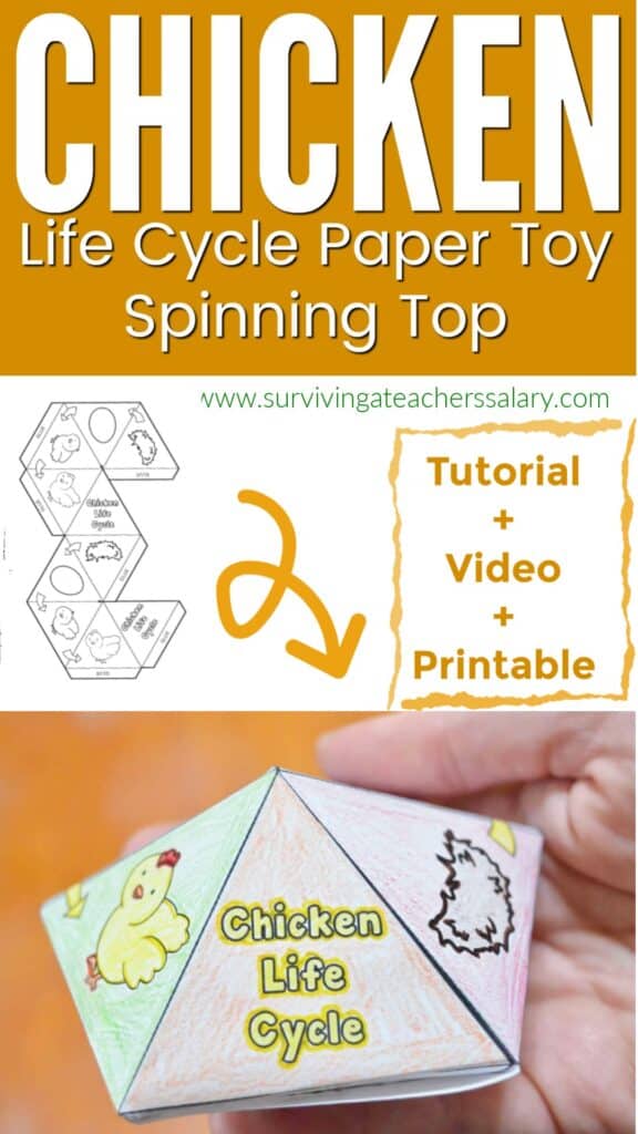 free printable chicken life cycle toy