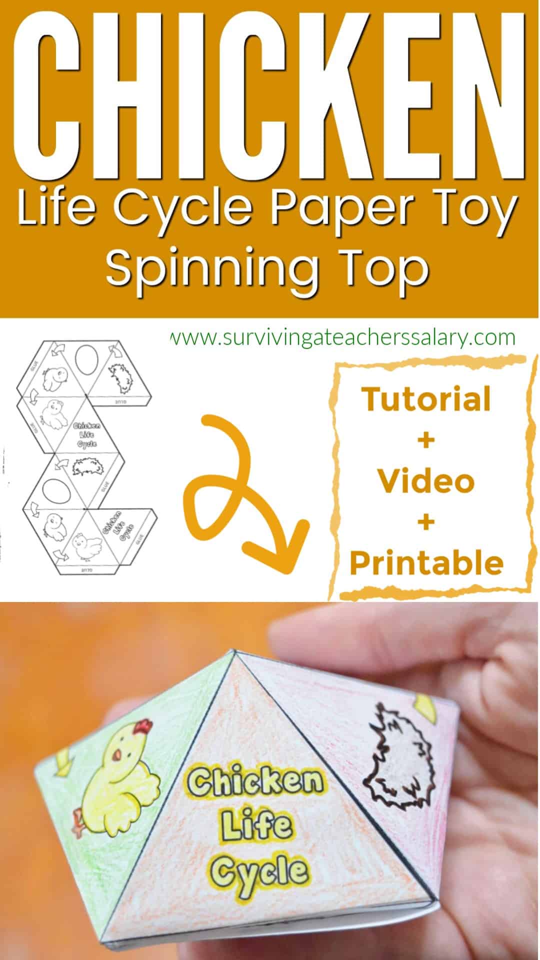 FREE Printable Chicken Life Cycle Interactive Spinner Top Toy