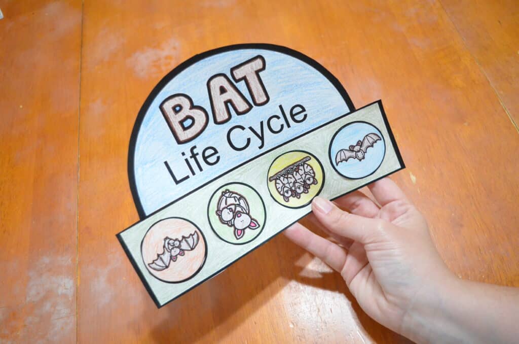 Free Printable Bat Life Cycle Hat Template