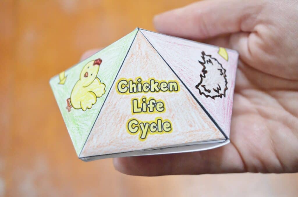 Free Printable Chicken Life Cycle Spinner Top Game