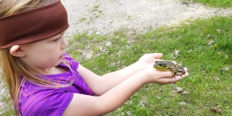 girl holding a bullfrog