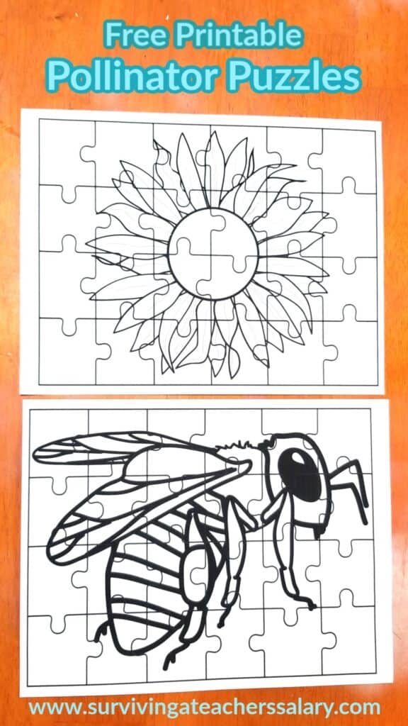 bee and flower puzzle