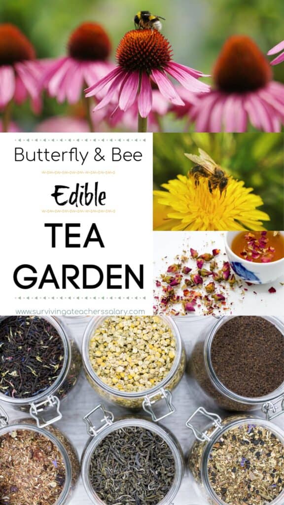 Butterfly & Bee Garden - Edible Tea Garden