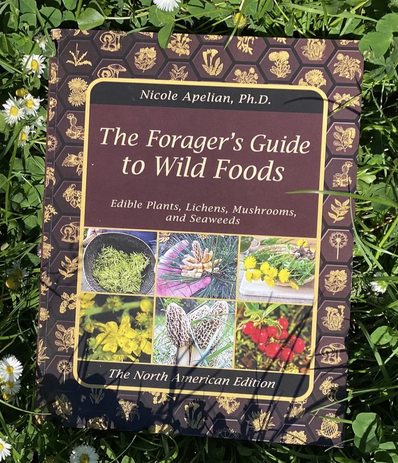 herbal medicine foraging book