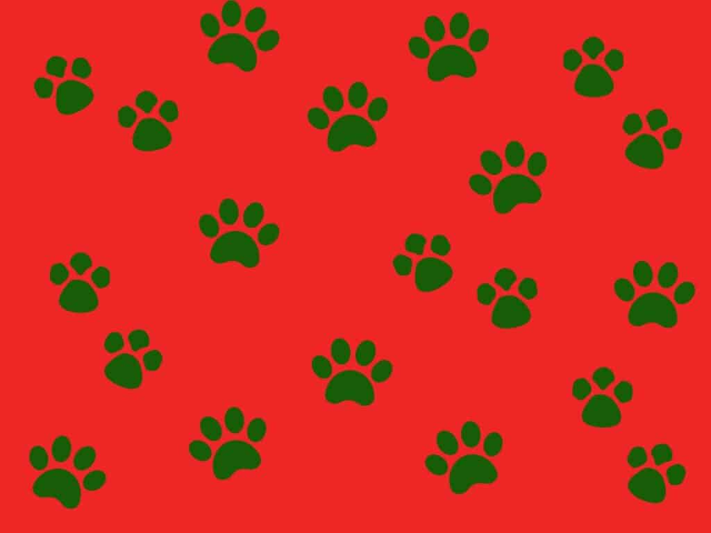 red and green paw print wrapping paper