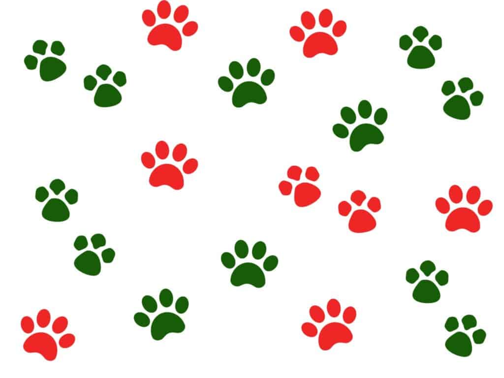red and green paw print wrapping paper
