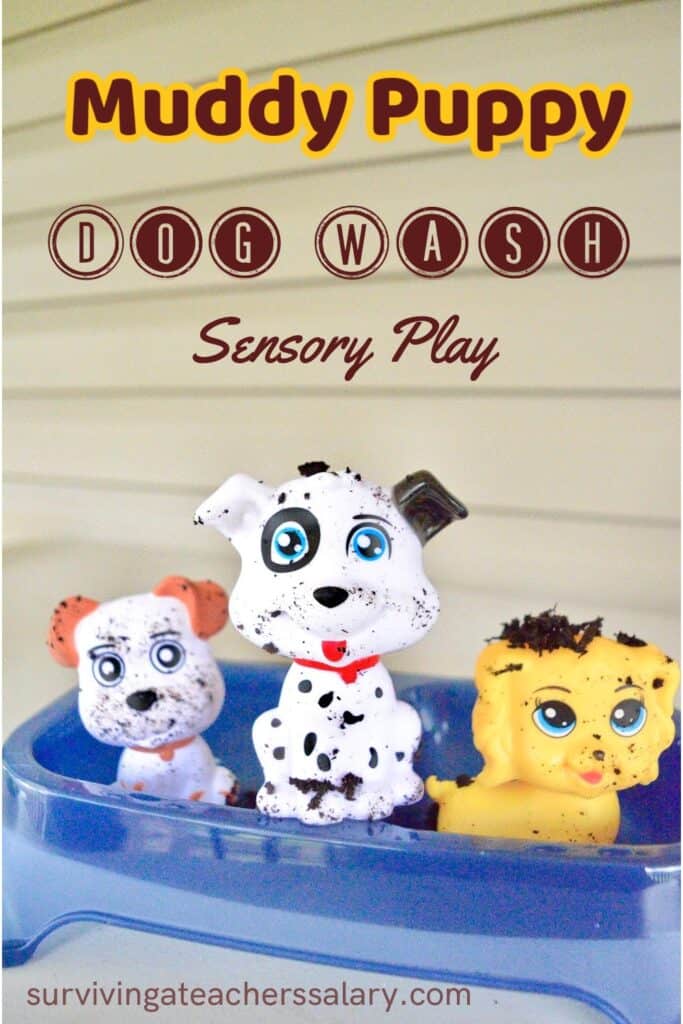 dog wash sensory bin