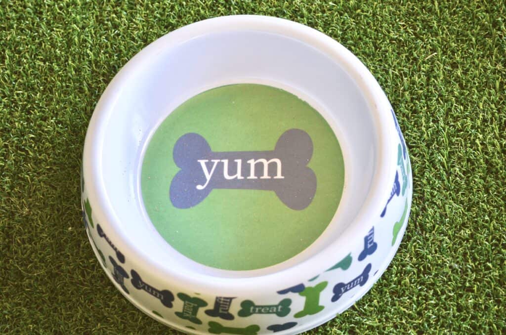 dog bowl on grass pad