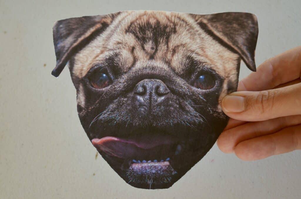 pug dog craft printable