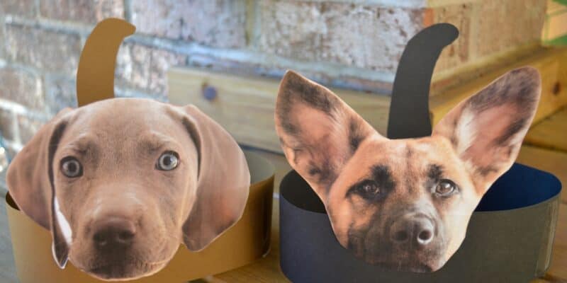 puppy dog headband craft for kids