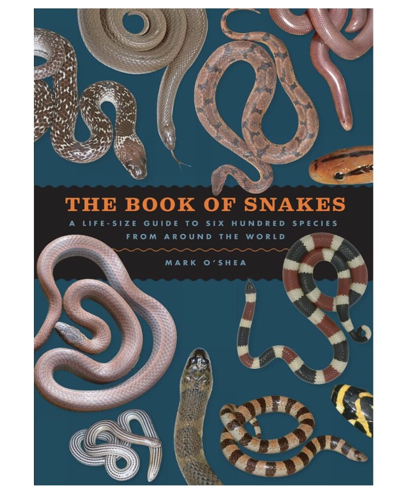 snake identification books