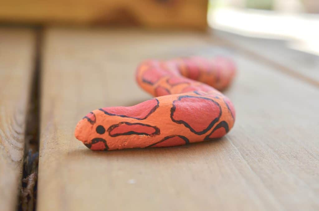 salt dough snake - corn snake