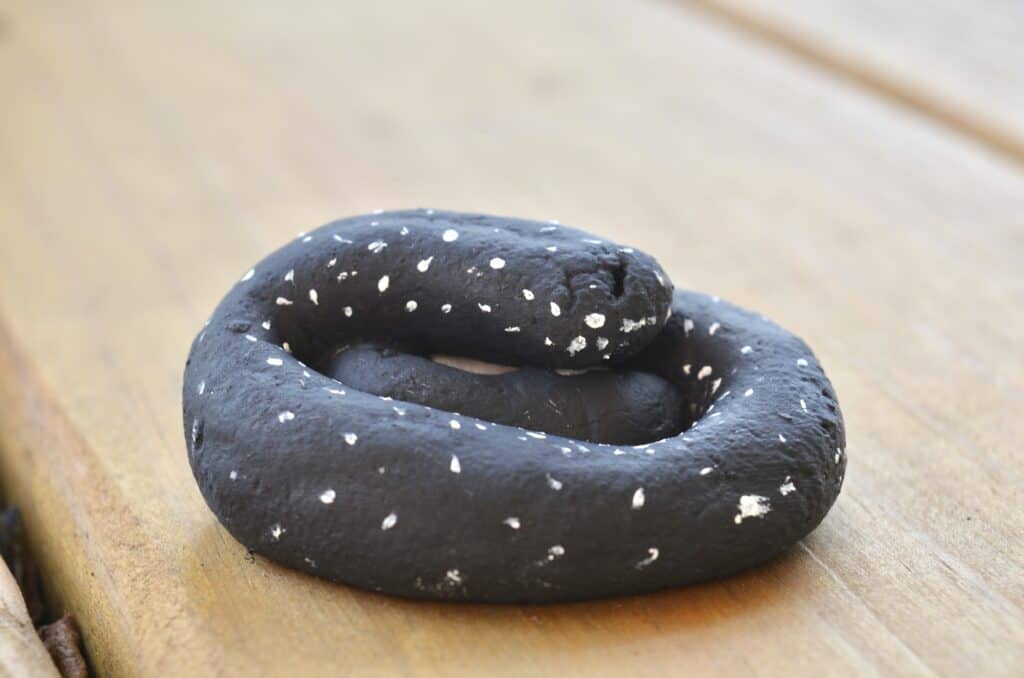 salt dough snake - eastern king snake