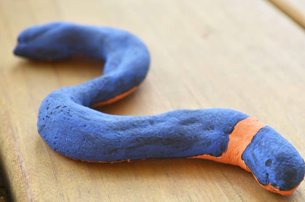 salt dough snake - ring neck snake