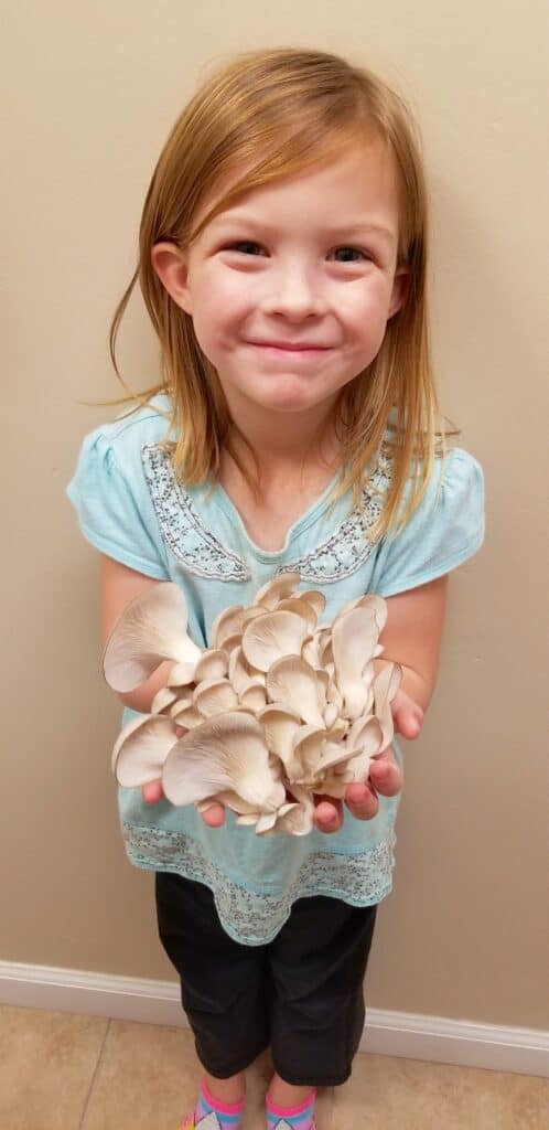 girl holding bunch of blue oyster mushrooms