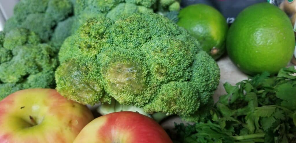 rotting broccoli from Imperfect Foods