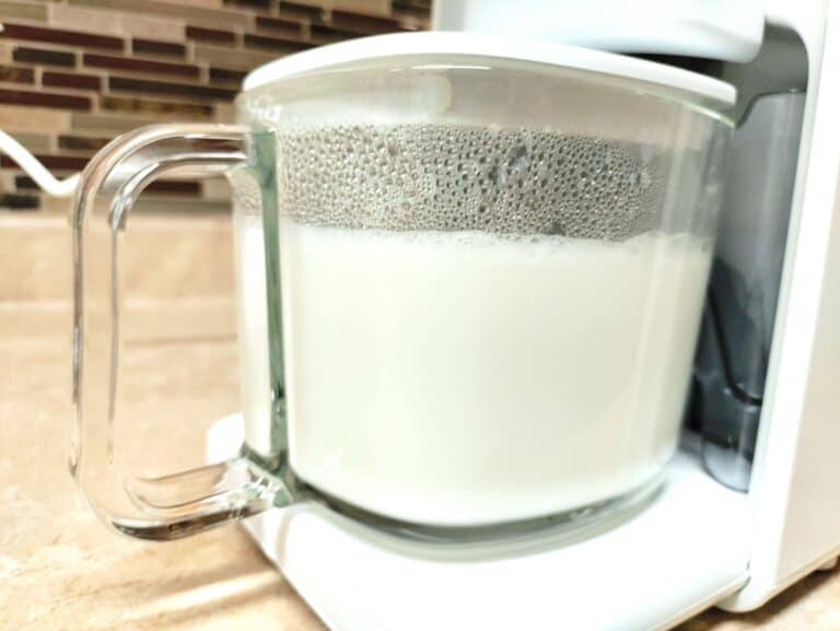Make Your Own Homemade Milk – Milkmade Non-Dairy Milk Maker Review