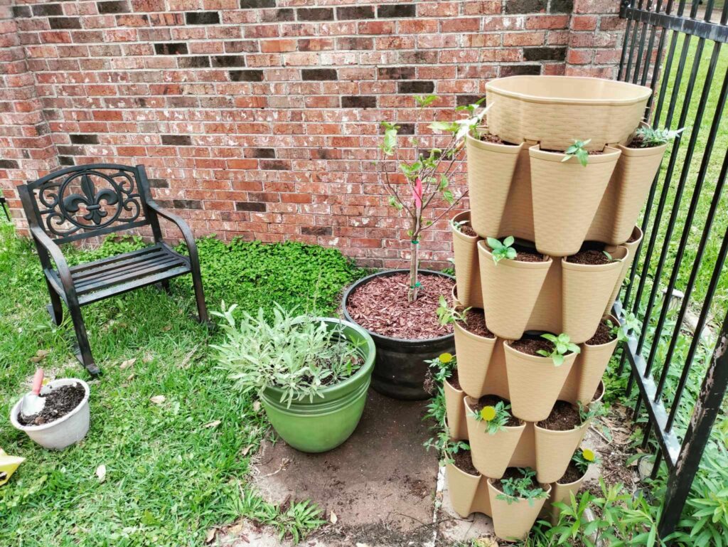corner of garden plants and Greenstalk vertical planter