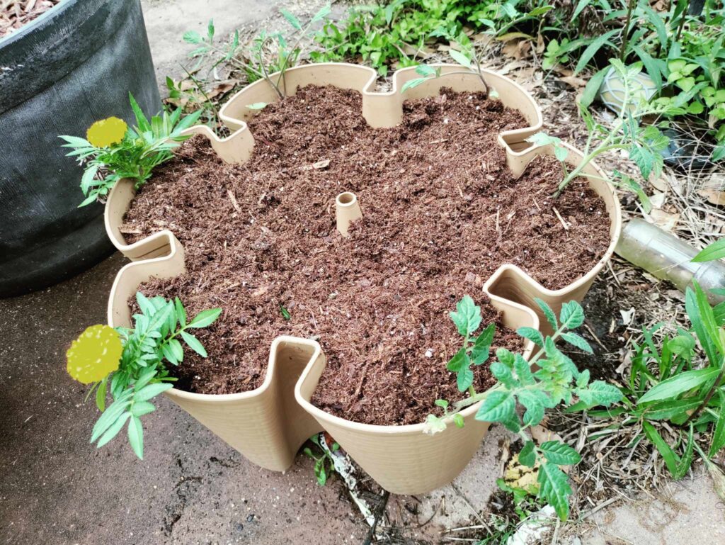 tier of Greenstalk vertical planter with plants